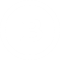 iconmonstr-bitcoin-4-240